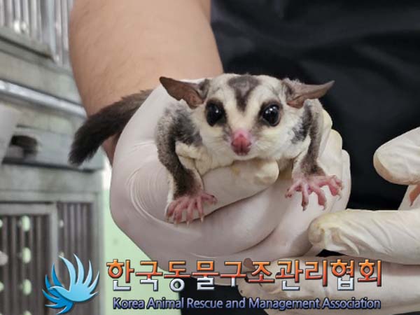 종료(자연사) 믹스…